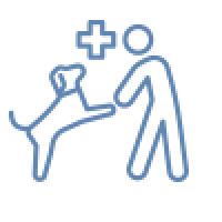 Veterinary